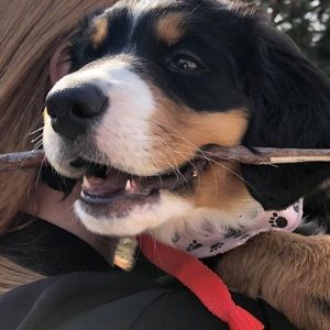 Meet your Posher, Marie